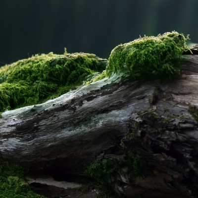 1920 x 1080 HD Wallpapers 2590